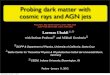 Probing dark matter with cosmic rays and AGN jetsactive.pd.infn.it/g4/seminars/2012/files/ubaldi.pdf · cosmic rays and AGN jets Phys.Rev. D82 (2010) 123514, arXiv:1008.2230 JCAP