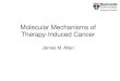 Molecular Mechanisms of Therapy-Induced Cancer Allan.pdf · 2016. 9. 18. · Radiation induced cellular damage ... Evolution of the c-MYC locus in irradiated cells q24.21 c-MYC PVT1