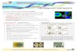 ViroVision Brochure 021617 - CubeBiosystems.com...Product Catalog Descrip on Size Rev-A3R5-GFP Cells CUBRC0011 Derived from A3.01 cells. Natural CD4, CXCR4 and α4β7 expression. Con-s
