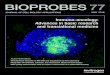 BIOPROBES 77 - Thermo Fisher Scientificassets.thermofisher.com/TFS-Assets/BID/Reference... · 2018. 5. 1. · BIOPROBES. 77. JOURNAL OF CELL BIOLOGY APPLICATIONS MAY 2018. ALSO FEATURING