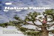 Enhancing natural resources management for food security in Africa · 2021. 2. 8. · From the cover, Photo: ©FAO/Luis Tato. 8 NATURE & FAUNE VOLUME 33 ISSUE 1 Editorial Rebuilding