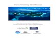 Palau Modeling Final Report - Coral Reef Watch...Palau Modeling Final Report William Skirving, Scott Heron, Craig Steinberg, Alan E. Strong, Cary McLean, Mal Heron, Severine Choukroun,