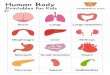 Human Body Printables for Kids 123kidsfun.com o Large intestine … · 2018. 8. 16. · Human Body Printables for Kids 123kidsfun.com o Large intestine Kidneys Heart Gallbladder O