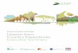 Green Growth in Practice Lessons from Country Experiences ... · Green growth – a path towards an inclusive green economy that achieves resource efficient and climate resilient