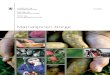 Matnasjonen Norge...Matnasjonen Norge Regjeringen har samlet seg om en felles visjon for Matnasjonen Norge: «I 2030 er mat en kilde til matglede, stolthet, og er et synlig element