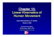Chapter 10: Linear Kinematics of Human Movement · 2018. 11. 17. · • Kinematics: describes appearance of motion • Kinetics: study of forces associated with motion • Linear