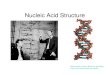 Nucleic Acid Structure - Virginia Tech · 2010. 2. 16. · Nucleotide monomers can be linked together via a phosphodiester linkage formed between the 3' -OH of a nucleotide and the