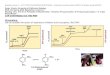 Principles of Biochemistry “Oxidative Phosphorylation …mcb.berkeley.edu/labs/krantz/mcb102/lect_S2008/MCB102... · 2008. 5. 9. · ATP synthase component of the electron ... The