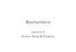 Biochemistry · Lehninger Principles of Biochemistry, Fifth Edition 2008 W. H. Freeman and Company Right-twisted sheets Left-handed helix Right-handed helix + 180 1.53Å Amino terminus