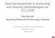 New Developments in Screening and Scoping Methodologies for CO · 2020. 6. 16. · • Five major types: • 1) Database screening - filtering database using certain criteria •