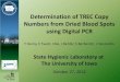 Determination of TREC Copy Numbers from Dried Blood Spots using Digital … · 2016. 5. 17. · Determination of TREC Copy Numbers from Dried Blood Spots using Digital PCR State Hygienic