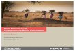 DORO REFUGEE CAMP COMPREHENSIVE NEEDS ......2 Doro Refugee Camp Needs Assessment – December 2015 SUMMARY Doro is one of four refugee camps in Maban County in South Sudan’s Upper