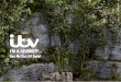 I’M A CELEBRITY…...I’M A CELEBRITY…GET ME OUT OF HERE! Starts Sunday 15th November at 9pm on ITV I’m A Celebrity…Get Me Out Of Here! returns which can mean only one thing…