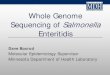 Whole Genome Sequencing of Salmonella Enteritidis...(SE129) 3% JEGX01.0005 (SE43) 11% JEGX01.0021 (SE77) 7% Other 12% Most Prevalent MN S. Enteritidis PFGE Patterns 2009-2013 SNP Differences