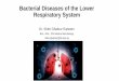 Bacterial Diseases of the Lower Respiratory System · 2021. 1. 20. · Respiratory System Dr. Shler Ghafour Raheem BSc., MSc., PhD Medical Microbiology ... 1. Microscopy Acid-fast