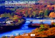 River Tay Special Area of Conservation (SAC)...The River Tay SAC is designated as a Natura 2000 site for Atlantic salmon, sea lamprey, river lamprey, brook lamprey, clear-water lochs