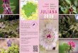 O vrtu a leŽi v 150 m Cerkvl. k povezuie Kranisko in Na Vrta ......Koledar dogodkov Event calendar MUZEJ 2020 Juliana ponovno odprta Sobota, 9. maj Alpski botanižni vrt Juliana v