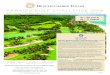 PARADIS GOLF CHALLENGE 2019 Flyer 2019(2).pdf · 2019. 3. 28. · Paradis Beachcomber Golf Resort & Spa ... Paradis Golf Challenge is played in the mornings, leaving the ... Ocean
