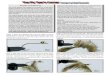 The Fly Tyer’s Corner Recipe by Matt Bennett · 2020. 8. 27. · The Fly Tyer’s Corner Recipe by Matt Bennett Bennett’s Lunch Money Fly The Lunch Money was created out of need