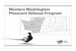 Western Washington Pheasant Release Program532 2 SNOHOMISH COUNTY Arlington Mulkiteo Everett Port Townsend Smith Farm/ Leque Island Stanwood y 99 Camano Island 532 Smith Farm / Leque