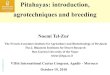 Pitahayas: introduction, agrotechniques and breeding Pitahayas... · yellow pitahaya . Others issues to solve: Irrigation, fertilization, pruning, short shelf-live . Hand-cross pollination