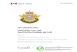 ROYAL CANADIAN AIR CADETS · 2019. 5. 27. · Outline and CATO 51-01, Air Cadet Program Outline, and issued on the authority of the Chief of Defence Staff. 2. Development. Development
