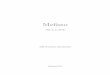 MEFISTO, Volume 2, issue 2, 2018 - Edizioni ETSedizioniets.com/priv_file_libro/3701.pdf · 2019. 4. 2. · Bertoloni Meli documenta (con la pubblicazione di manoscritti) che Leibniz