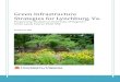 Green Infrastructure Strategies for Lynchburg, Lyncburg Report.pdf Green infrastructure planning is a framework for assessing and valuing environmental assets. Green infrastructure