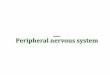 Peripheral nervous system - ANATOM · The nervous system for topographic indication is divided into two divisions: the central nervous system (CNS) i peripheral nervous system (PNS)