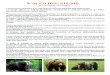 L’orso marsicano · 2014. 6. 23. · L'orso bruno marsicano è un mammifero onnivoro della famiglia degli Ursidi. Un tempo diffuso in tutti gli Appennini, attualmente è confinato
