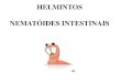 HELMINTOS NEMATÓIDES INTESTINAIS - USPdisciplinas.stoa.usp.br/pluginfile.php/162680/mod... · 2014. 3. 11. · Infecção por Nematóides Intestinais no Mundo 0,8 bilhões infecções