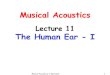 Lecture 11 The Human Ear - Ifaculty.tamuc.edu/cbertulani/music/lectures/Lec11/Lec11.pdfThe Human Ear - I Musical Acoustics, C. Bertulani 2 Anatomy of Ear The human ear is a highly