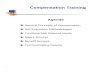 ocgov. Compensation Training Agenda General Concepts of Compensation ... Strategic Compensation: A Human