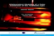 Mathematical Modeling of a Pulse Combustor of the ...ta.twi.tudelft.nl/nw/users/vuik/numanal/heerbeek_scriptie.pdf · usually pulse combustors provide their own means for pumping