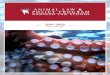 ANIMAL LAW & POLICY PROGRAManimal.law.harvard.edu/wp-content/uploads/ALPP-Year-in... · 2020. 12. 29. · • Animal Welfare Trust • Brooks Institute for Animal ... (South Africa),