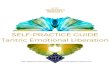 SELF-PRACTICE GUIDE Tantric Emotional Liberation · 2018. 7. 22. · T2M7 Self-Practice Guide 2 Tantric Emotional Liberation In this self-practice, you are essentially doing the blueprinting
