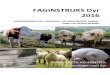 FAGINSTRUKS Dyr 2016 - Landbrugsstyrelsen...Krav 2.30 Anvendelse af biocid og journal over biocid ..... 111 Krav 2.31 Sporbarhed af foder samt forsyning kun fra registreret virksomhed