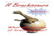 What will become of brachiosaurus? - WordPress.com · 2013. 8. 22. · of brachiosaurus? SPECIALE Fine anno scolastico . In questo numero abbiamo, un resoconto delle vittorie del