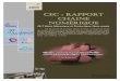 CeC : Rapport Chaine Numérique - Freesebinouz.free.fr/pro/Rapports/ChaineNum-CeC_SebinouZ.pdf · 2009. 7. 19. · CeC : Rapport Chaine Numérique DUT Génie Mécanique et Productique