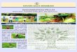 Green Leaves Promotion Center (June - July report 2020)kaverikalamandram-kkm.org/last/bundles/reportdoc... · 12 S.Sivamalar 08 150 500 150 800 90 410 100 600 200 13 R.Sivanoli 08