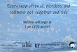 Every snow often oil, microbes, and sediment get together and … · 2020. 8. 1. · GULF OF MEXICO RESEARCH INITIATIVE •May 24, 2010 BP commits $500 million to research. •Research