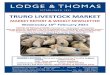 MARKET REPORT & WEEKLY NEWSLETTER Wednesday 10th … · 2021. 2. 12. · TRURO LIVESTOCK MARKET MARKET REPORT & WEEKLY NEWSLETTER Wednesday 10th February 2021 COVID-19 REGULATIONS: