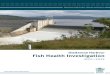 Gladstone Harbour Fish Health Investigation 2011–2012era.daf.qld.gov.au/id/eprint/7012/1/gladstone-harbour... · 2019. 7. 1. · Front cover photo supplied by Johnny Mitchell, as