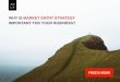 WHY IS MARKET ENTRY STRATEGY IMPORTANT FOR YOUR … · WHY IS MARKET ENTRY STRATEGY IMPORTANT FOR YOUR BUSINESS? A D L X FREE E-BOOK. WHY IS MARKET ENTRY STRATEGY IMPORTANT FOR YOUR