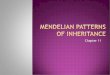 Mendelian patterns of Inheritancestaff.camas.wednet.edu/blogs/cmarshall08/files/2011/10/... · 2011. 10. 11. · Mendelian patterns of Inheritance. Chapter 11. The first scientists