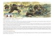 DESERT WAR PART EIGHT: OPERATION TORCH ... DESERT WAR PART EIGHT: OPERATION TORCH DATE: NOVEMBER 08 – NOVEMBER 16 1942 In the Mediterranean Theater in the summer of 1941, Axis forces