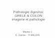 Pathologie digestive et Pathologie digestive GRELE & COLON imagerie et pathologie . Master 1 . E. Danse