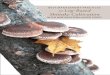 Best ManageMent Practices for Log-Based Shiitake Cultivation · 2010. 10. 1. · ment, and cultivation of lion’s mane mushrooms. The results of some of that research are shown in