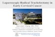 Laparoscopic Radical Trachelectomy in Early Cervical Cancer 3 ASM OGSHK-LRT.pdf · 2018. 11. 8. · Radical Trachelectomy in Early Cervical Cancer 10 Radical trachelectomy is a curative
