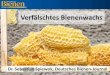 Control of Varroosis - Deutscher Imkerbund...Ist Stearin gefährlich für Bienen? Ja. Belgische Studie zeigte, dass beigemengtes Stearin allein ausreicht, um Brut abzutöten. (Institut
